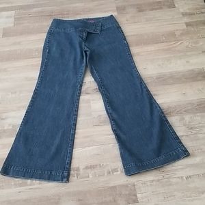 Battery Park women's petite jeans